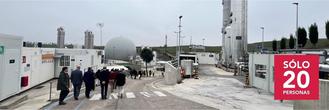 Imagen decorativa Imagen